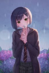 Rule 34 | 10s, 1girl, black jacket, blue hair, blush, commentary, covering own mouth, cowboy shot, darling in the franxx, flower, green eyes, green skirt, hair ornament, hairclip, highres, holding, holding flower, hydrangea, ichigo (darling in the franxx), ihsara10, jacket, long sleeves, necktie, open clothes, open jacket, outdoors, rain, school uniform, skirt, solo, striped necktie, striped neckwear