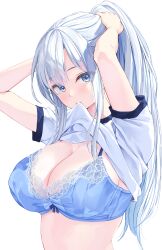 Rule 34 | 1girl, absurdres, arms up, blue bra, blue eyes, bra, breasts, cleavage, closed mouth, clothes lift, highres, lace, lace-trimmed bra, lace trim, large breasts, lifting own clothes, long hair, looking at viewer, mouth hold, original, pasdar, ponytail, shirt, shirt lift, short sleeves, sidelocks, simple background, solo, tying hair, underwear, upper body, white background, white hair, white shirt