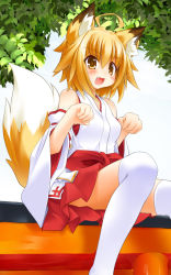 Rule 34 | 1girl, ahoge, animal ears, bare shoulders, blonde hair, detached sleeves, fang, fox ears, fox tail, hakama, hakama skirt, japanese clothes, leaf, looking at viewer, miko, open mouth, original, red hakama, sitting, skirt, solo, tabi, tachi yure, tail, thighhighs, white thighhighs, yellow eyes
