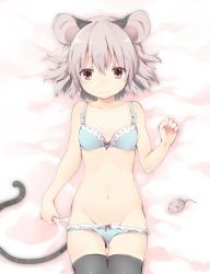 Rule 34 | 1girl, akagashi hagane, animal, animal ears, bed sheet, black thighhighs, blue bra, blue panties, bra, closed mouth, flat chest, from above, grey eyes, grey hair, looking at viewer, lying, mouse (animal), mouse ears, mouse tail, navel, nazrin, on back, on bed, panties, red eyes, sheet grab, short hair, solo, stomach, tail, thighhighs, touhou, underwear, underwear only