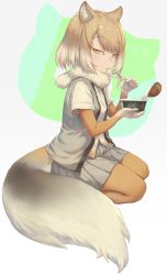 Rule 34 | 10s, 1girl, animal ears, blonde hair, blouse, buttons, cup ramen, donbee (food), donbei kitsune udon, eating, expressionless, food, fork, fox ears, fox tail, from side, full body, fur collar, grey skirt, grey vest, guchico, highres, holding, holding fork, instant udon, japari symbol, kemono friends, light brown hair, miniskirt, mouth hold, multicolored hair, nissin donbei, noodles, seiza, shirt, short hair, short sleeves, sitting, skirt, solo, tail, tibetan fox (kemono friends), udon, vest, white background, white neckwear, white shirt, yellow eyes