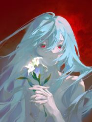 Rule 34 | 1girl, absurdres, ahoge, alternate hair length, alternate hairstyle, ayanami rei, blue hair, breasts, collarbone, commentary, completely nude, flower, hair between eyes, highres, holding, holding flower, lily (flower), long hair, looking afar, neon genesis evangelion, nude, own hands clasped, own hands together, parted lips, red background, solo, topless frame, upper body, w zhengz