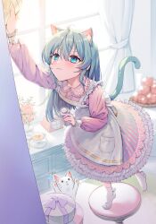Rule 34 | 1girl, :3, absurdres, animal ears, apple, apron, cat, cat ears, cat girl, cat tail, cup, curtains, dress, flower, food, frilled dress, frills, fruit, full body, grey hair, highres, kitchen scale, long hair, long sleeves, maid apron, momoe sanami, on stool, original, pink dress, pink flower, smile, stool, tail, tea, teacup, weighing scale, white apron, window