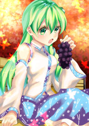 Rule 34 | 1girl, autumn, autumn leaves, bad id, bad pixiv id, bench, blue skirt, blurry, commentary request, day, depth of field, detached sleeves, feet out of frame, food, frog hair ornament, fruit, grapes, green eyes, green hair, hair between eyes, hair ornament, highres, holding, holding food, holding fruit, kochiya sanae, leaf, long hair, looking at viewer, maple leaf, open mouth, outdoors, rizuyuki, single sidelock, sitting, skirt, solo, touhou, very long hair, vest, white vest