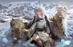 Rule 34 | 1girl, absurdres, animal, animal ear fluff, animal ears, arknights, braid, commentary request, day, dress, full body, grey eyes, hair between eyes, highres, hill, jewelry, leopard, leopard ears, long hair, looking at viewer, mo ne, mountain, necklace, outdoors, pramanix (arknights), silver hair, sitting, turtleneck