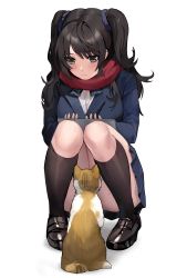 Rule 34 | 1girl, absurdres, animal, black footwear, black hair, black socks, blazer, blue jacket, blue scrunchie, blue skirt, brown eyes, cat, chinese commentary, closed mouth, commentary request, full body, hair ornament, hair scrunchie, highres, jacket, kneehighs, kuza brs, long hair, mole, mole on thigh, original, pleated skirt, red scarf, scarf, school uniform, scrunchie, shirt, shoes, simple background, skirt, socks, solo, squatting, twintails, white background, white shirt