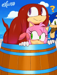 Rule 34 | 2boys, amy rose, barrel, cheating (relationship), excito, flustered, highres, knuckles the echidna, multiple boys, netorare, penis, public indecency, question mark, sonic (series), sonic the hedgehog, stealth sex