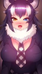 Rule 34 | 1girl, animal ears, black hair, blue eyes, blush, breast pocket, breasts, fangs, fur collar, grey wolf (kemono friends), heterochromia, highres, kemono friends, large breasts, looking at viewer, multicolored hair, necktie, open mouth, pocket, solo, tongue, totokichi, two-tone hair, white hair, wolf ears, wolf girl, yellow eyes