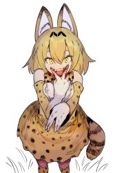 Rule 34 | 1girl, :d, animal ears, bare shoulders, blonde hair, blood, blood on face, bow, bowtie, ddari, elbow gloves, gloves, grass, hand up, highres, kemono friends, looking at viewer, medium hair, open mouth, orange skirt, serval (kemono friends), serval print, serval tail, simple background, skirt, smile, solo, standing, tail, traditional bowtie, v, v over mouth, white background, white gloves, yellow eyes