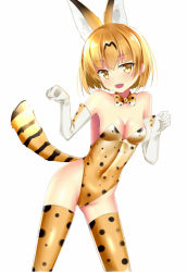 Rule 34 | 10s, 1girl, adapted costume, animal ears, bad id, bad pixiv id, bare shoulders, blonde hair, bow, bowtie, breasts, cat ears, cat tail, cleavage, elbow gloves, gloves, kemono friends, kittysuit, leotard, looking at viewer, nontraditional playboy bunny, open mouth, paw pose, puririn, ribbon, serval (kemono friends), serval print, serval tail, short hair, simple background, small breasts, solo, tail, teeth, thighhighs, yellow eyes