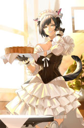 Rule 34 | 1girl, animal ears, asymmetrical bangs, warrior of light (ff14), bare shoulders, bell, black gloves, black hair, bodice, breasts, cat ears, cat girl, cat tail, choker, cleavage, collarbone, commentary, commission, cowboy shot, curtains, day, dress, eyelashes, final fantasy, final fantasy xiv, food, frills, gloves, grin, twirling hair, hand up, highres, holding, holding tray, indoors, jingle bell, large breasts, long sleeves, looking at viewer, maid, maid headdress, original, plant, plate, pleated dress, puffy sleeves, shiny clothes, short hair, sidelighting, skeb commission, slit pupils, smile, solo, table, tail, tail raised, teeth, thighhighs, tray, tsurime, twilight, uyuyuun, white dress, white headdress, white thighhighs, window, yellow eyes