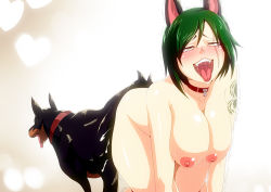 Rule 34 | 1boy, 1girl, ahegao, all fours, animal ears, ass-to-ass, bestiality, blush, breasts, collar, cum, cum in pussy, dog, dog ears, dog tail, drooling, green hair, half-closed eyes, hanging breasts, happy sex, heart, heart-shaped pupils, large breasts, looking at viewer, moaning, naughty face, nipples, open mouth, pussy juice, rolling eyes, saliva, sex, short hair, smile, sweat, symbol-shaped pupils, tail, tattoo, thighs, tongue, tongue out, torogao, trembling