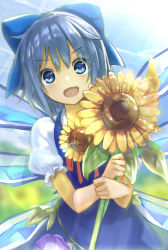 Rule 34 | 1girl, :d, blue dress, blue eyes, blue hair, bow, cirno, dress, fang, flower, hair bow, hidden star in four seasons, ice, ice wings, looking at viewer, minutachi, open mouth, puffy short sleeves, puffy sleeves, short hair, short sleeves, smile, solo, sunflower, tanned cirno, touhou, wings