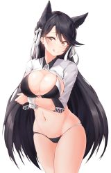 Rule 34 | 1girl, absurdres, alternate costume, animal ear fluff, animal ears, arms under breasts, atago (azur lane), atago (stunning speedster) (azur lane), azur lane, bad id, bad twitter id, bikini, black bikini, blush, breasts, brown eyes, brown hair, cleavage, closed mouth, cowboy shot, gr greeze, groin, hair ribbon, hand on own chest, highres, large breasts, long hair, long sleeves, looking at viewer, mole, mole under eye, navel, race queen, ribbon, shrug (clothing), sidelocks, simple background, skindentation, smile, solo, stomach, swimsuit, white background