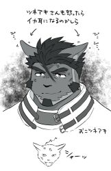 Rule 34 | 1boy, ahoge, anger vein, angry, animal ears, bara, cat, cat boy, cat ears, cheekbones, doodle inset, facial hair, furry, furry male, goatee, live a hero, male focus, monochrome, thick eyebrows, translation request, tsuneaki (live a hero), unplugged line, white background