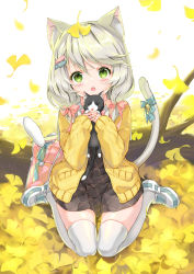 Rule 34 | 1girl, :o, animal, animal ears, bag, bell, black skirt, blue bow, blush, bow, cat, cat ears, cat girl, cat tail, commentary request, full body, ginkgo tree, ginkgo leaf, grey hair, hair bow, highres, holding, holding animal, jacket, jingle bell, juna, kitten, leaf, log, long hair, long sleeves, looking at viewer, low twintails, open clothes, open jacket, original, parted lips, pink bow, school bag, shirt, shoes, sitting, skirt, sleeves past wrists, solo, tail, tail bell, tail bow, tail ornament, tail raised, thighhighs, twintails, wariza, white footwear, white shirt, white thighhighs, yellow jacket