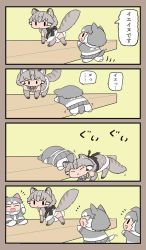 Rule 34 | 4girls, all fours, animal ears, animal print, back bow, belt bow, bokoboko (pandagapanda1), bow, bowtie, cat ears, cat girl, cat print, cat tail, climbing, commentary, dog (mixed breed) (kemono friends), dog ears, dog girl, dog tail, gloves, gradient gloves, grey bow, grey bowtie, grey hair, japanese clothes, kemono friends, kemono friends 3, kimono, multicolored hair, multiple girls, panties, pantyshot, plaid sleeves, print gloves, print legwear, sleeveless, sleeveless kimono, stuck, tail, tail wagging, translated, tsushima leopard cat (kemono friends), two-tone hair, underwear