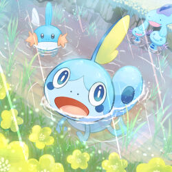 Rule 34 | black eyes, blue eyes, bright pupils, closed mouth, commentary request, creatures (company), day, flower, game freak, gen 2 pokemon, gen 3 pokemon, gen 8 pokemon, grass, in water, looking at viewer, mudkip, nintendo, no humans, open mouth, outdoors, partially submerged, pokemon, pokemon (creature), putto, quagsire, rain, smile, sobble, swimming, water, white flower, white pupils, wooper, yellow flower