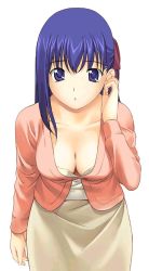 Rule 34 | 00s, 1girl, a1 (initial-g), breasts, cleavage, downblouse, duplicate, fate/stay night, fate (series), matou sakura, medium breasts, solo