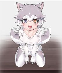 Rule 34 | 1girl, :3, adapted costume, afterimage, animal ears, between legs, blue eyes, blush, casual, collarbone, commentary request, dog (mixed breed) (kemono friends), dog ears, dog tail, elbow gloves, from above, gloves, grey hair, grey pantyhose, hand between legs, heterochromia, kemono friends, looking at viewer, multicolored clothes, multicolored hair, multicolored legwear, nyifu, open mouth, pantyhose, shirt, short hair, sitting, solo, speed lines, t-shirt, tail, tail wagging, wariza, white gloves, white hair, white pantyhose, white shirt, yellow eyes