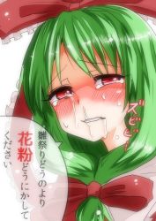 Rule 34 | 1girl, blush, crying, crying with eyes open, female focus, front ponytail, green hair, hair ribbon, hay fever, highres, kagiyama hina, red eyes, ribbon, snot, solo, takorice, tears, touhou, translated, upper body