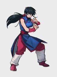 Rule 34 | 1girl, black eyes, black hair, blue dress, chi-chi (dragon ball), china dress, chinese clothes, commentary, dragon ball, dragon ball (classic), dress, full body, grey background, kemachiku, long hair, looking at viewer, ponytail, simple background, solo, standing