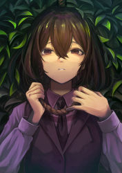 Rule 34 | 1girl, absurdres, attempted suicide, bad id, bad pixiv id, brown hair, cha zhou, collared shirt, crossed bangs, formal, hair between eyes, hand up, highres, imminent suicide, leaf, long sleeves, looking at viewer, medium hair, necktie, noose, original, purple eyes, purple necktie, purple shirt, purple vest, shirt, solo, suicide, upper body, vest