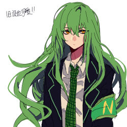 Rule 34 | 1boy, armband, black jacket, closed mouth, collared shirt, commentary request, er hea, expressionless, green armband, green hair, green necktie, hair between eyes, highres, jacket, lobotomy corporation, long hair, long sleeves, looking at viewer, male focus, necktie, netzach (project moon), open clothes, open jacket, plaid necktie, project moon, shirt, sketch, solo, translation request, upper body, white shirt, yellow eyes