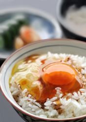 Rule 34 | bowl, egg, food, food focus, kya4, no humans, original, photorealistic, realistic, rice, rice bowl, still life, tamagokake gohan