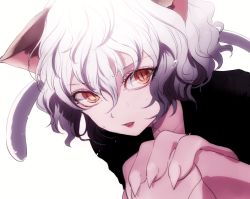 Rule 34 | 1girl, androgynous, animal ears, cat ears, cat tail, collarbone, curly hair, eyebrows, eyelashes, fingernails, gradient hair, hair between eyes, hand on own knee, hunter x hunter, lipstick, long fingernails, makeup, maruino, multicolored hair, neferpitou, orange eyes, other focus, parted lips, red lips, sharp fingernails, short hair, silver hair, simple background, slit pupils, solo, tail, wet, wet hair, white background