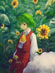 Rule 34 | 1girl, ascot, closed mouth, collared shirt, commentary, flower, frilled ascot, frills, ge dazuo, green hair, highres, kazami yuuka, long sleeves, open clothes, open vest, outdoors, red eyes, red skirt, red vest, shirt, skirt, skirt set, solo, standing, sunflower, touhou, umbrella, vest, white shirt, yellow ascot, yellow flower