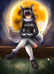 Rule 34 | 10s, 1girl, animal ears, between breasts, black hair, blue eyes, breasts, fang, fang out, full moon, fur collar, gloves, grey wolf (kemono friends), heterochromia, highres, in tree, kemono friends, large breasts, crossed legs, long hair, long sleeves, looking at viewer, moon, multicolored hair, necktie, necktie between breasts, shaded face, sitting, sitting in tree, skirt, solo, tail, tree, two-tone hair, wolf ears, wolf tail, yellow eyes