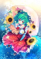 Rule 34 | 1girl, ascot, breasts, dress, fang, female focus, flower, frills, from above, green hair, highres, kazami yuuka, large breasts, maryquant, open mouth, petals, plaid, plaid skirt, plaid vest, red eyes, short hair, skirt, skirt set, smile, solo, sunflower, touhou, umbrella, vest