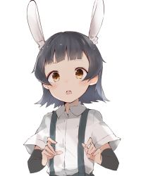 Rule 34 | 1girl, animal ears, arare (kancolle), arm warmers, black hair, blush, brown eyes, collared shirt, commentary request, highres, kantai collection, kemonomimi mode, looking at viewer, ooyama imo, open mouth, rabbit ears, shirt, short hair, short sleeves, sidelocks, simple background, skirt, solo, suspender skirt, suspenders, teeth, upper body, upper teeth only, white background, white shirt