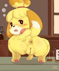 Rule 34 | 1girl, absurdres, alcohol, animal crossing, animal ears, animal hands, anus, ass, ass grab, blush, bottle, bottomless, cleft of venus, cup, dog ears, dog tail, from behind, full body, furry, furry female, hand on own ass, highres, indoors, isabelle (animal crossing), looking back, nintendo, no humans, pussy, sake kemosalmon, short sleeves, solo, squatting, tail, topknot, uncensored, window