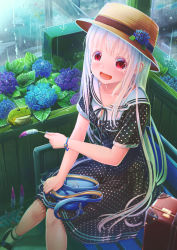Rule 34 | 1girl, :d, aiuabo, albino, animal, bag on lap, black dress, black ribbon, blue bag, blue flower, breasts, briefcase, collarbone, commentary request, dress, flower, frog, hat, hat flower, heart-shaped bag, highres, holding, hydrangea, long hair, looking at viewer, mary janes, moe2020, neck ribbon, open mouth, original, polka dot, polka dot dress, rain, red eyes, ribbon, shoes, short sleeves, sitting, small breasts, smile, socks, solo, very long hair, watch, white hair, wristwatch