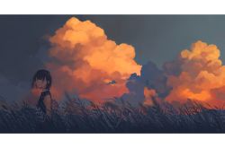 Rule 34 | 1girl, bad id, bad pixiv id, black eyes, black hair, blue sky, cloud, cloudy sky, field, from side, fuyuno kamome, grass, highres, looking at viewer, looking to the side, negative space, original, outdoors, scenery, short hair, sky, solo, standing, sunset