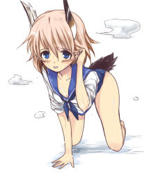Rule 34 | 1girl, adjusting hair, all fours, azumada, bad id, bad pixiv id, barefoot, blue eyes, blush, brown hair, head wings, looking at viewer, military, military uniform, raisa pottgen, sexually suggestive, short hair, sleeves rolled up, solo, strike witches, swimsuit, swimsuit under clothes, tail, uniform, wet, wet clothes, wings, world witches series