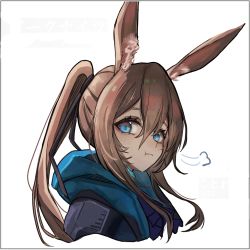 Rule 34 | 1girl, :t, puff of air, amiya (arknights), animal ears, arknights, ascot, black jacket, blue ascot, blue eyes, brown hair, cropped torso, hair between eyes, hood, hood down, hooded jacket, jacket, kotowaza, long hair, looking at viewer, ponytail, portrait, pout, rabbit ears, rabbit girl, sidelocks, simple background, solo, white background