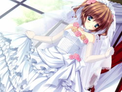 Rule 34 | 1girl, blush, bridal veil, bride, brown hair, choker, circus (studio), clothes lift, curtains, day, dress, dress lift, dutch angle, elbow gloves, embarrassed, flower, frilled dress, frills, game cg, gloves, green eyes, hair flower, hair ornament, hair tie, hakuouin ayaka, indoors, open mouth, pink flower, pink rose, princess party, ribbon, rose, short hair, short twintails, sleeveless, solo, takano yuki (allegro mistic), tiara, twintails, veil, wavy hair, wedding dress, white flower, white gloves, white ribbon, white rose, window, yellow flower, yellow rose