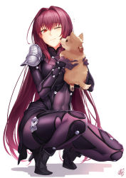 Rule 34 | 1girl, ;), armor, bodysuit, breasts, carrying, closed mouth, commentary, covered navel, dog, fate/grand order, fate (series), female focus, full body, hair between eyes, hair intakes, high heels, large breasts, licking, lips, long hair, okitakung, one eye closed, pauldrons, puppy, purple bodysuit, purple hair, red eyes, scathach (fate), shadow, shoulder armor, shoulder pads, simple background, skin tight, smile, solo, squatting, tongue, tongue out, type-moon, very long hair, white background, wince