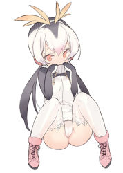 Rule 34 | 10s, 1girl, adjusting collar, black hair, blade (galaxist), blush, boots, breasts, cameltoe, commentary request, cross-laced footwear, dot nose, drawstring, eyelashes, full body, hair between eyes, headphones, jacket, kemono friends, long hair, long sleeves, looking at viewer, low twintails, multicolored hair, panties, pantyshot, pink footwear, pink hair, pocket, red eyes, royal penguin (kemono friends), shoelaces, shy, simple background, sitting, small breasts, solo, spread legs, standing, thighhighs, tsurime, turtleneck, twintails, underwear, white background, white hair, white panties, white thighhighs