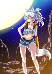 Rule 34 | 1girl, absurdres, animal ears, arm warmers, bad id, bad pixiv id, bare shoulders, crop top, cropped jacket, full moon, fur trim, hair over one eye, hand on own hip, highres, hip focus, long hair, midriff, mikoto (mio), moon, navel, night, night sky, original, ponytail, rock, scar, short shorts, shorts, silver hair, sky, sleeveless, solo, standing, strapless, tail, tube top, wolf ears, wolf tail, yellow eyes