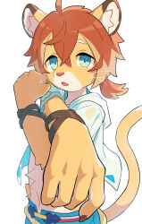 Rule 34 | 1boy, absurdres, ahoge, animal ears, blue shorts, bracelet, claws, clenched hand, commentary, cross-body stretch, fang, furry, furry male, highres, hood, hooded jacket, jacket, jewelry, konazarame, lion boy, lion ears, lion tail, looking at viewer, male focus, male swimwear, multiple bracelets, open clothes, open jacket, open mouth, ponytail, shorts, skin fang, stretching, tail, theo (world flipper), whiskers, white background, white jacket, world flipper