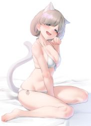 Rule 34 | 1girl, absurdres, animal ears, bare legs, bare shoulders, barefoot, bed sheet, between legs, bikini, blue eyes, blush, breasts, cat ears, cat girl, cat tail, cleavage, collarbone, fang, front-tie bikini top, front-tie top, grey hair, hand between legs, hand up, highres, looking at viewer, love live!, love live! superstar!!, medium breasts, nasuno (nasuno42), navel, open mouth, paw pose, short hair, side-tie bikini bottom, sitting, smile, solo, swimsuit, tail, tang keke, twintails, wariza, white background, white bikini