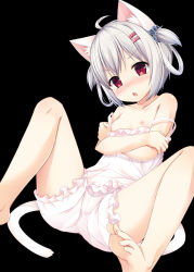 Rule 34 | &gt;:o, 1girl, :o, ahoge, animal ears, bare arms, bare legs, bare shoulders, barefoot, black background, bloomers, blush, breasts, camisole, cat ears, cat tail, collarbone, crossed arms, eyebrows, fang, feet, hair ornament, hairclip, head tilt, looking at viewer, nipples, off shoulder, open mouth, red eyes, sakuraba hikaru (loveindog), scrunchie, short hair, silver hair, simple background, small breasts, soles, solo, strap slip, tail, toes, two side up, underwear, v-shaped eyebrows