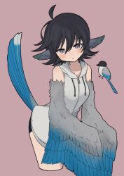 Rule 34 | 1girl, bird, bird girl, bird tail, black hair, black shorts, blush, breasts, closed mouth, cropped legs, feathered wings, grey eyes, hair between eyes, harpy, head wings, highres, hood, hood down, jacket, looking at viewer, magpie, medium breasts, monster girl, original, short hair, shorts, simple background, sleeveless, sleeveless jacket, solo, tail, winged arms, wings, yoyohachi