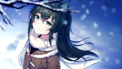 Rule 34 | 1girl, animal ears, black hair, blurry, blurry background, blurry foreground, blush, branch, brown jacket, closed mouth, commentary request, copyright request, depth of field, fur-trimmed jacket, fur trim, green eyes, green hair, hair between eyes, highres, jacket, long hair, looking away, ookamisama, outdoors, scarf, short eyebrows, smile, snow, snowing, solo, thick eyebrows, virtual youtuber, white scarf, wolf ears
