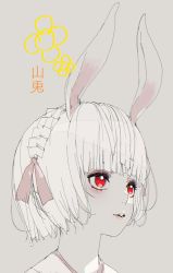 Rule 34 | 1girl, albino, animal ears, braid, bright pupils, close-up, d.k, eyelashes, eyeshadow, hair ribbon, makeup, original, parted lips, pink ribbon, purple eyeshadow, rabbit ears, red eyes, ribbon, short hair, simple background, solo, teeth, upper body, upper teeth only, white hair, white pupils