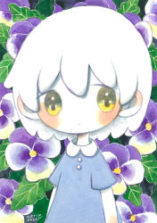 Rule 34 | :|, ambiguous gender, arms at sides, blush, child, closed mouth, colored skin, commentary request, dated, expressionless, eyes visible through hair, floral background, flower, hair between eyes, looking at viewer, no nose, original, outdoors, pansy, purple flower, purple pansy, short hair, short sleeves, signature, solo, tareme, traditional media, upper body, white hair, white skin, yellow eyes, zukky000